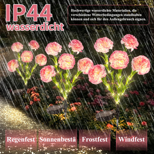 2pc Carnation Flower Solar Light