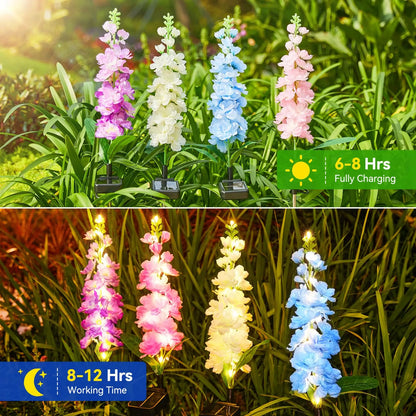 Solar Garden Lights