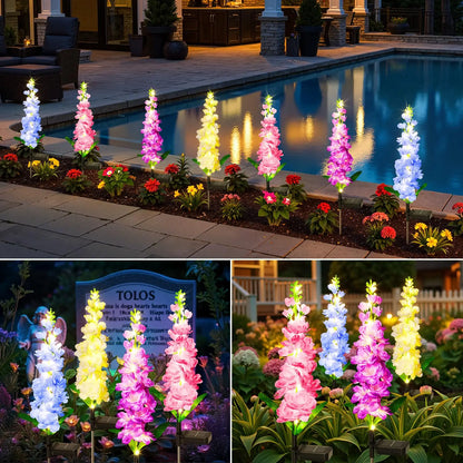 Solar Garden Lights
