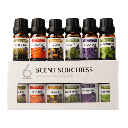 6Pc Aromatherapy Essential Oil Set